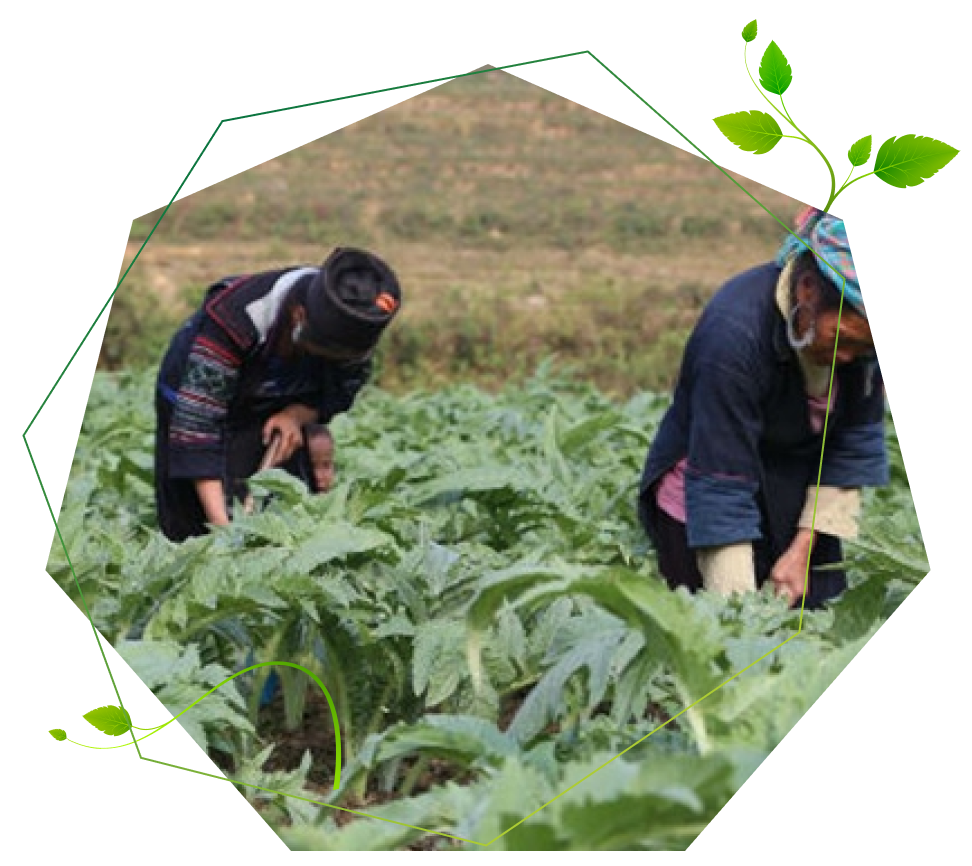 Công ty liên kết